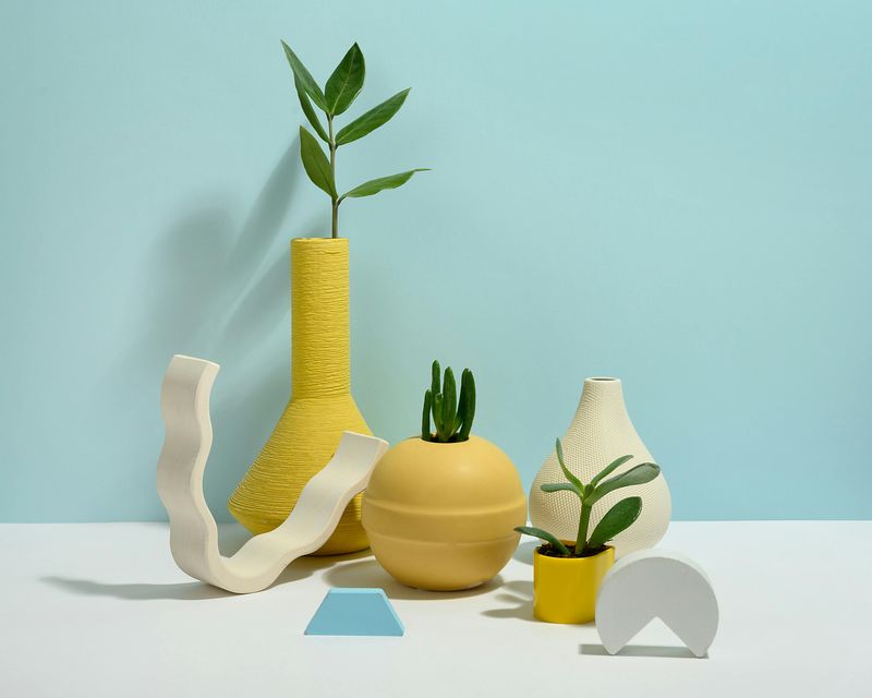 Plants in Sculptural Pots