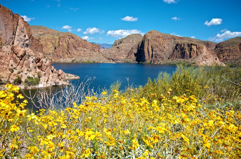 Saguaro Lake