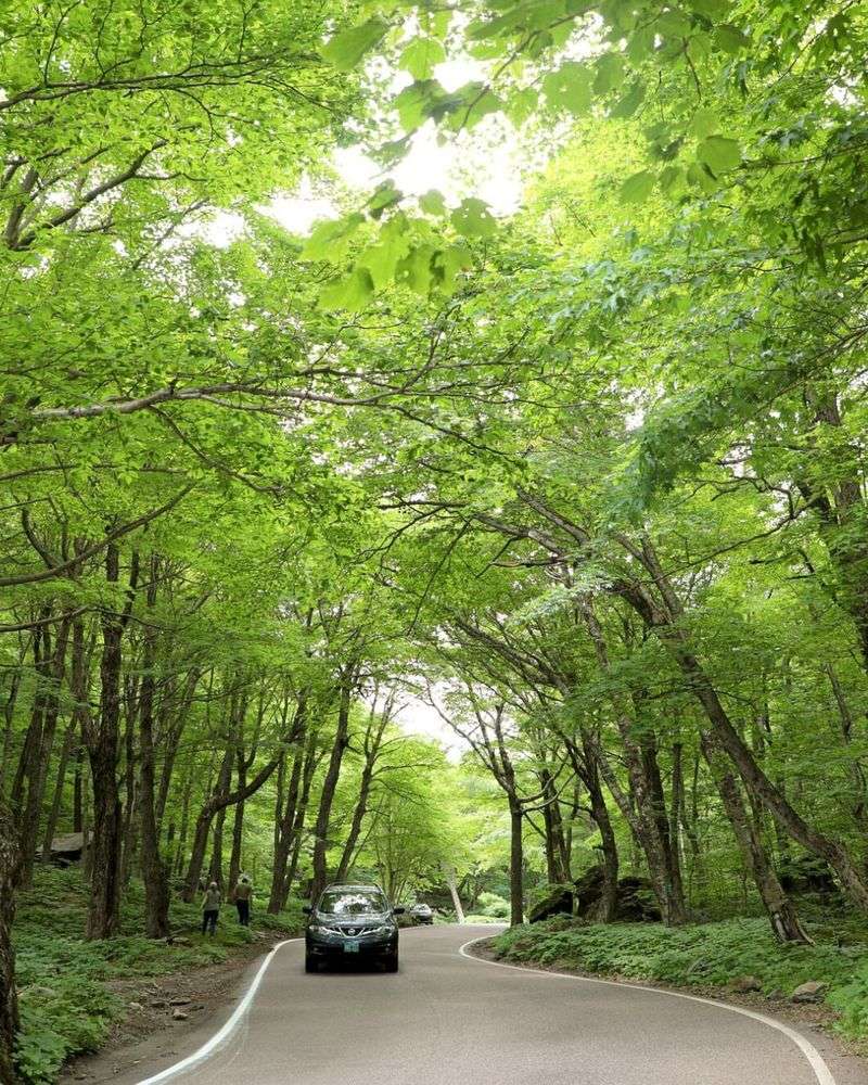 Smugglers' Notch (Route 108)