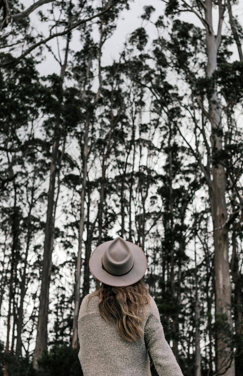 Take a Walk Outside Without Your Phone