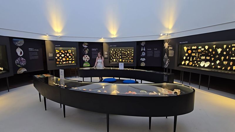 The Bailey-Matthews National Shell Museum