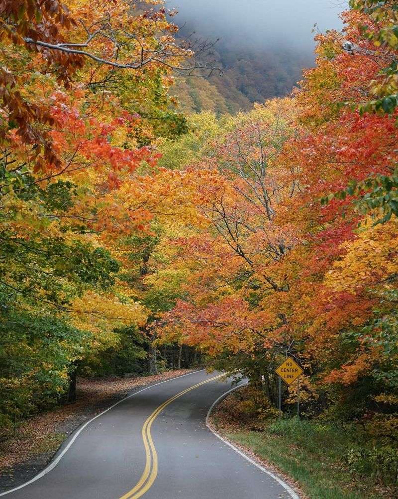 The Green Mountain Byway