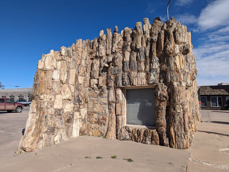 The Museum of Weird Collections