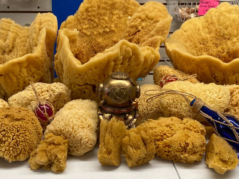 The Sponge Museum at Spongeorama