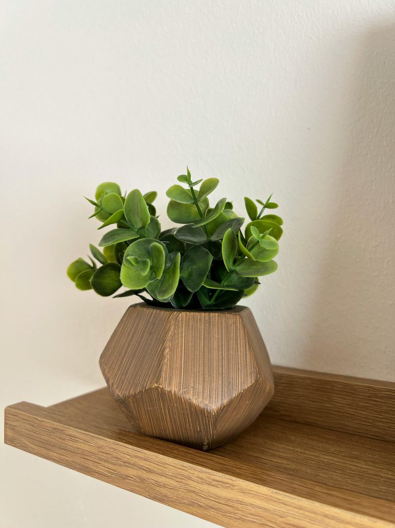 Artificial Plants Covered in Dust