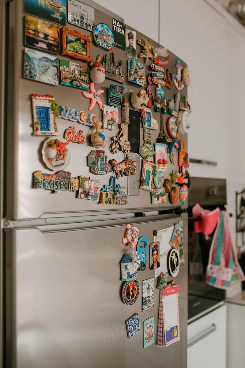 Refrigerator Magnet Collections