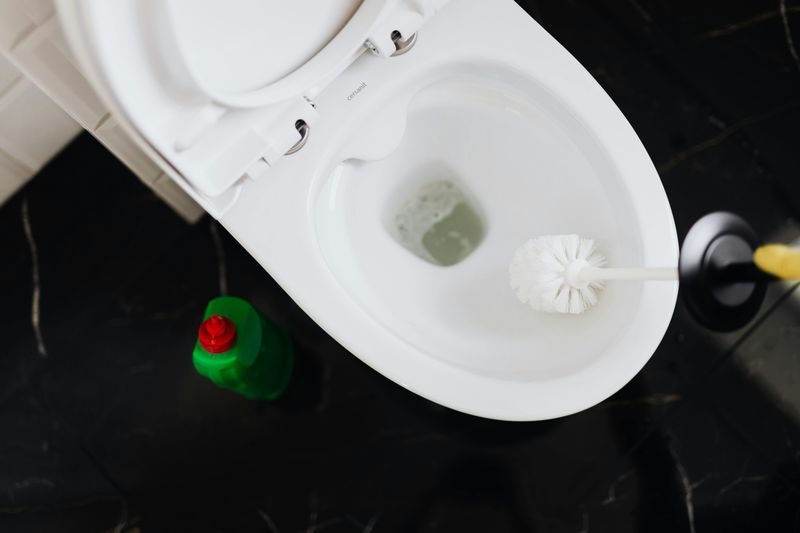 Visible Bathroom Cleaning Supplies