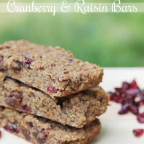 paleo quick easy cranberry raisin bars