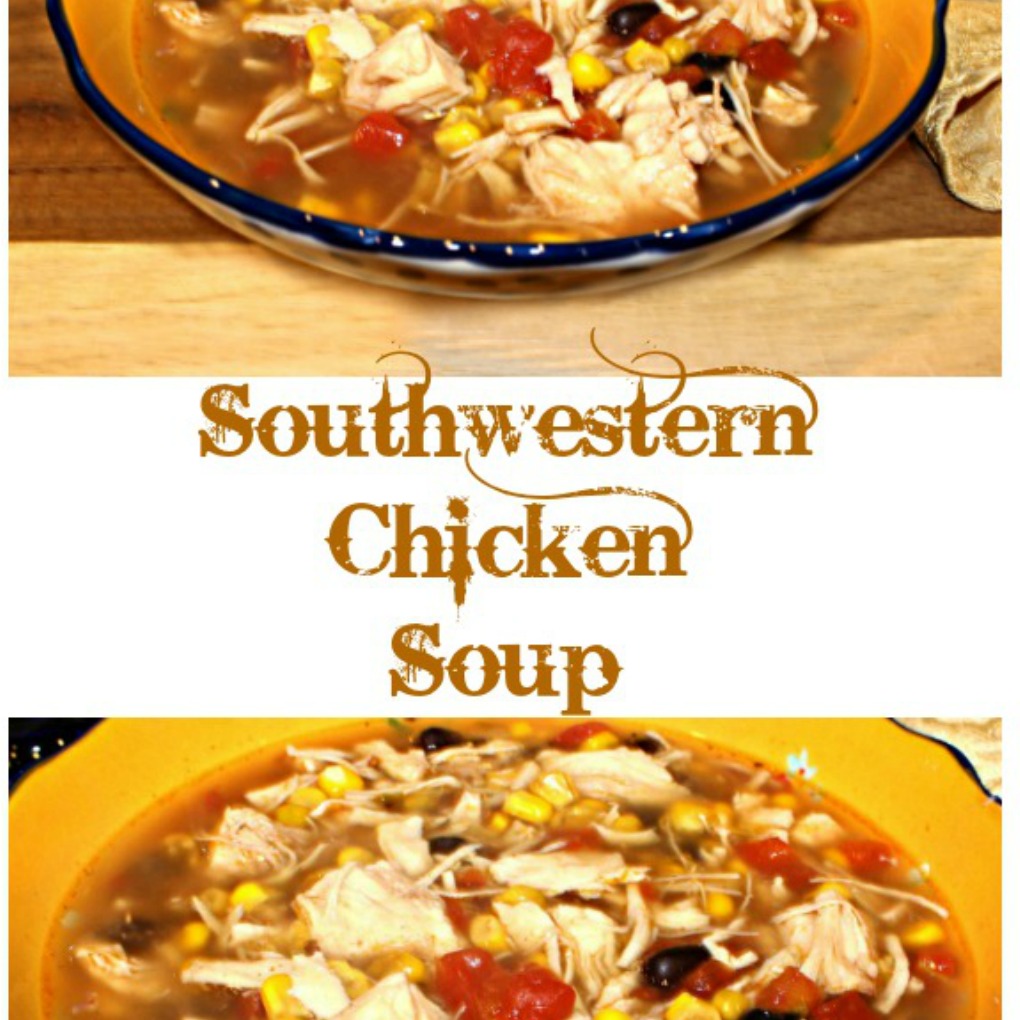 Southwestern Chicken Soup - How to make this tasty soup - MomSkoop