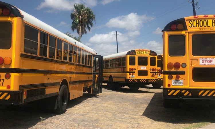 school bus safety