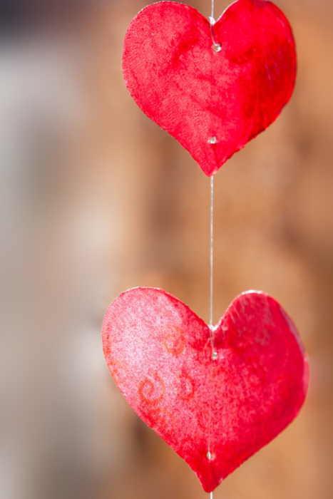 Valentine's Day Heart Shaped Box Gift