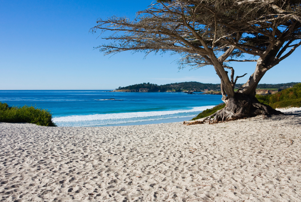 Places to Visit in California