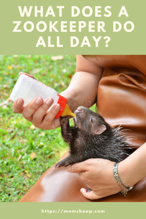 What Does A Zookeeper Do All Day Momskoop - 