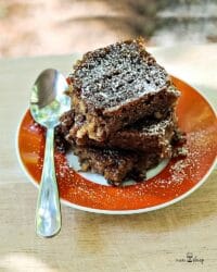 Baked Oatmeal bars on a orange plate