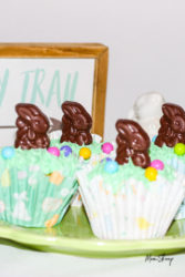 Easter Bunny Cupcakes