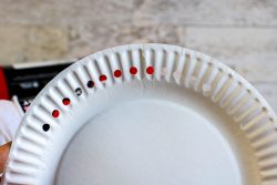 Paper plate with holes