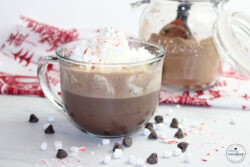 Glass mug with hot chocolate and topped with whipped cream and crushed peppermint with chocolate chips, marshmallows, and crushed peppermint around the mug