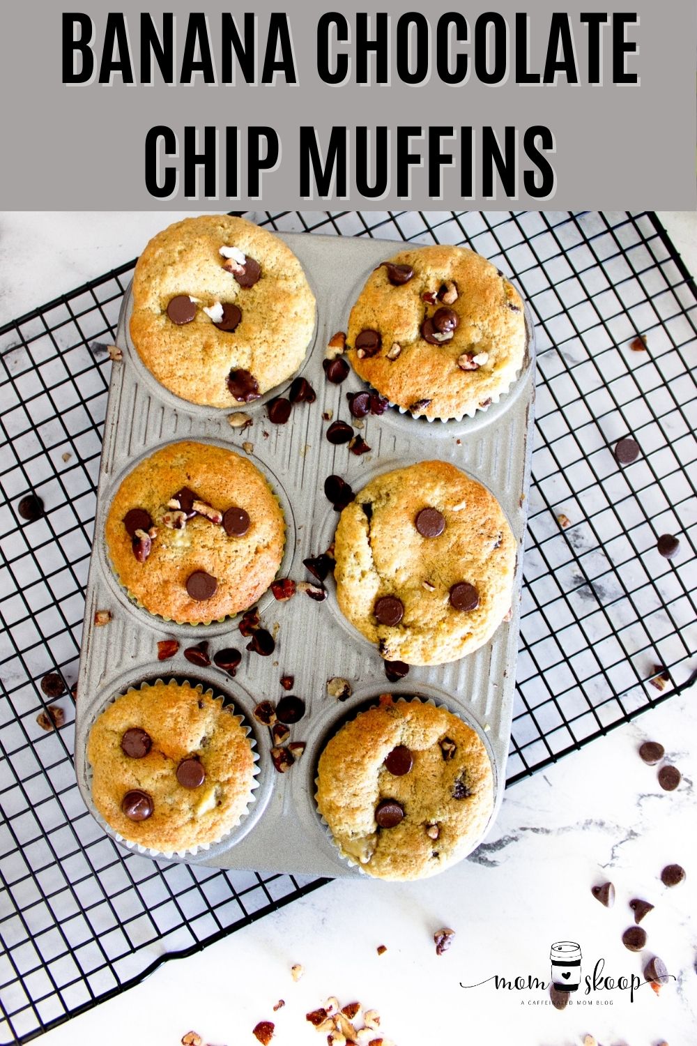 Muffins with banana and chocolate chips in a muffin tin on a cooling rack. 
