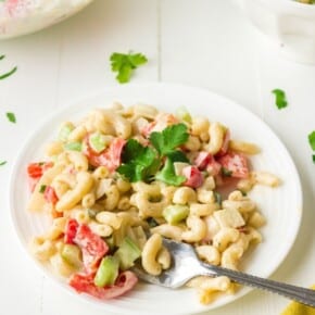 Macaroni salad on a white plate.