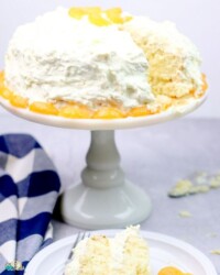 Slice of mandarin orange cake