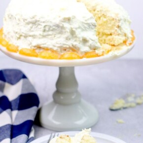 Slice of mandarin orange cake