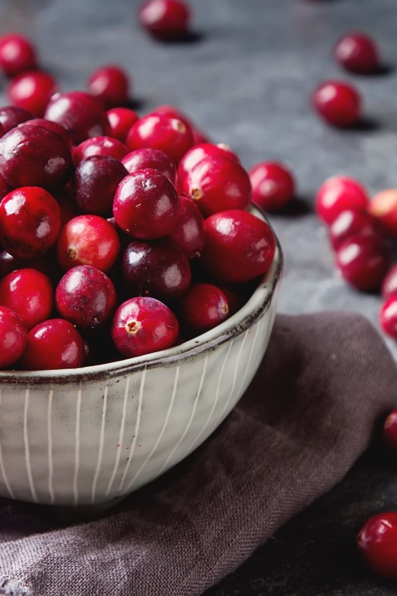 fresh cranberries in a gray bowl