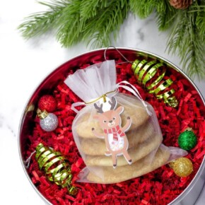 A favor bag full of Snickerdoodles and in a Christmas Tin