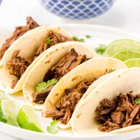 Barbacoa beef in flour tortillas