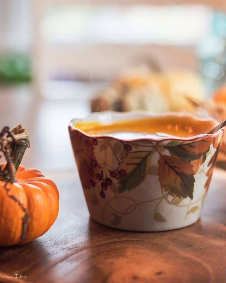 Easy to Make Fall Soup Recipes