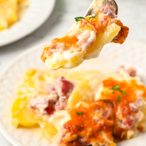 Scalloped Potatoes and Ham on a white plate