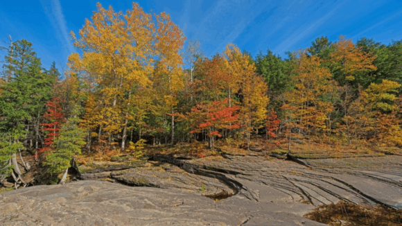 8 Stunning Spots to See Michigan’s Fall Colors in Full Glory