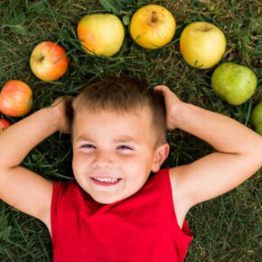 15 Healthy Snacks to Keep Kids Energized This Fall