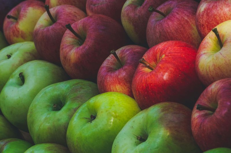 Autumn's Crisp Favorites: Apples