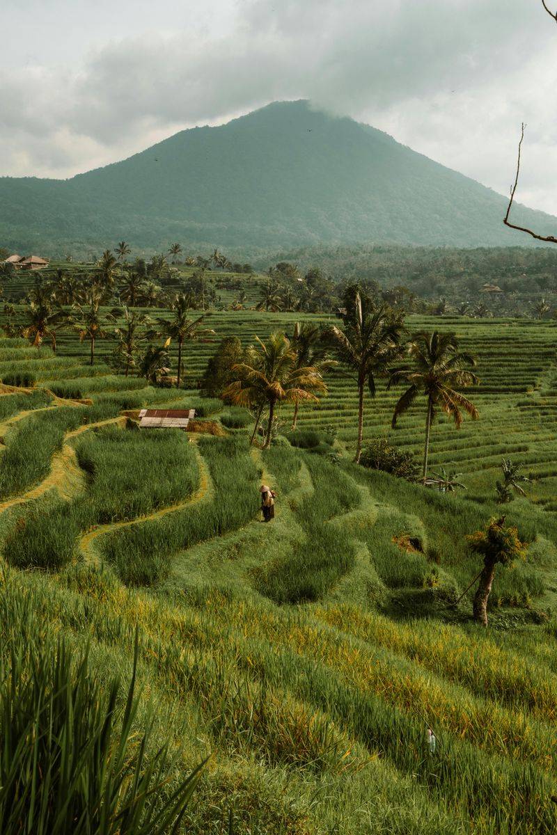 Bali's Paradise Without the Premium Price
