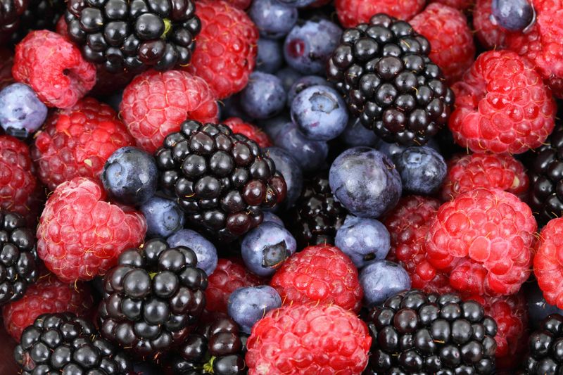 Berries: Tiny Fruits with Mighty Powers