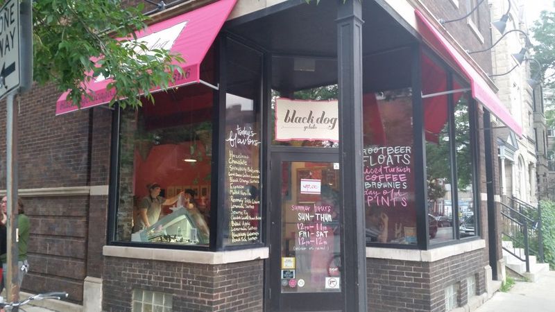 Black Dog Gelato