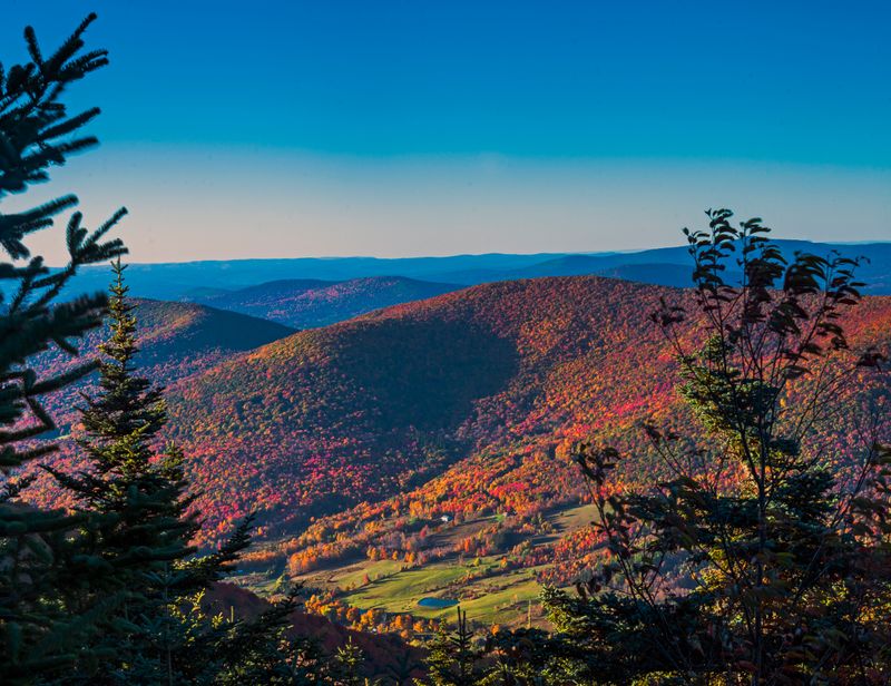 Buck Ridge