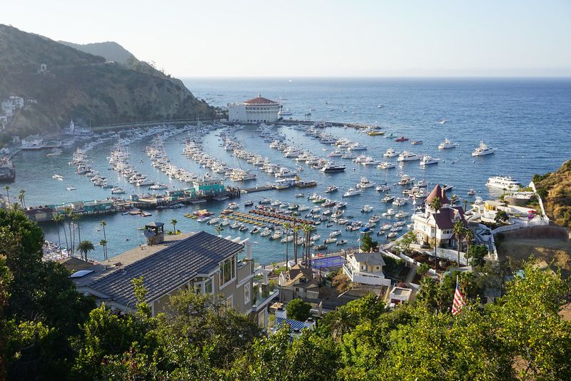 Catalina Island, California
