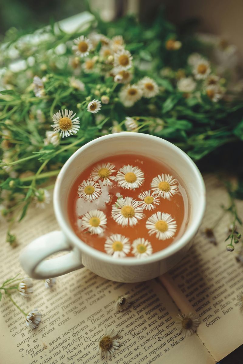 Chamomile Tea: Floral Sleep Elixir
