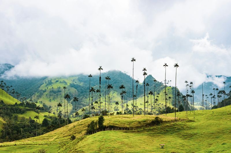 Colombia's Natural Diversity