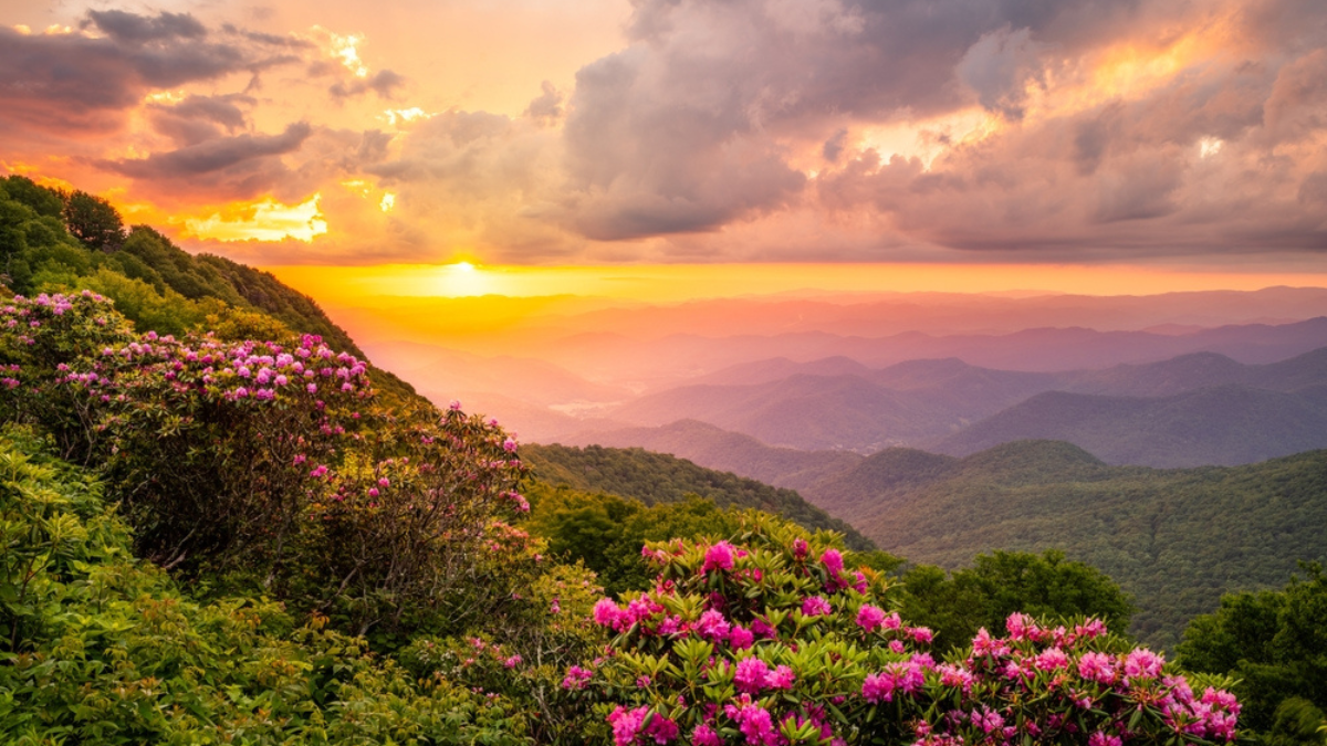 10 Classic Summer Road Trips Everyone Should Take Once