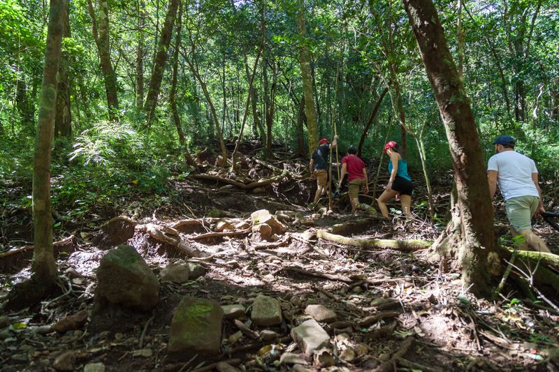 Costa Rica's Vibrant Ecosystems