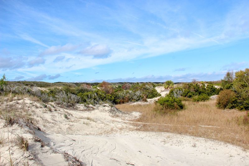Cumberland Island, Georgia