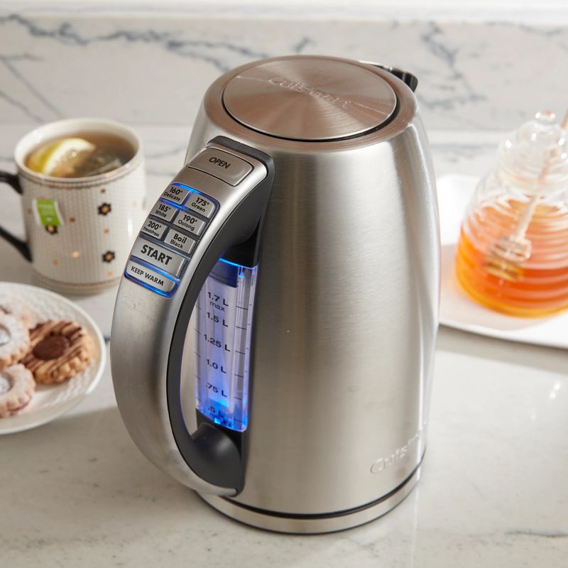Electric Kettle with Temperature Control