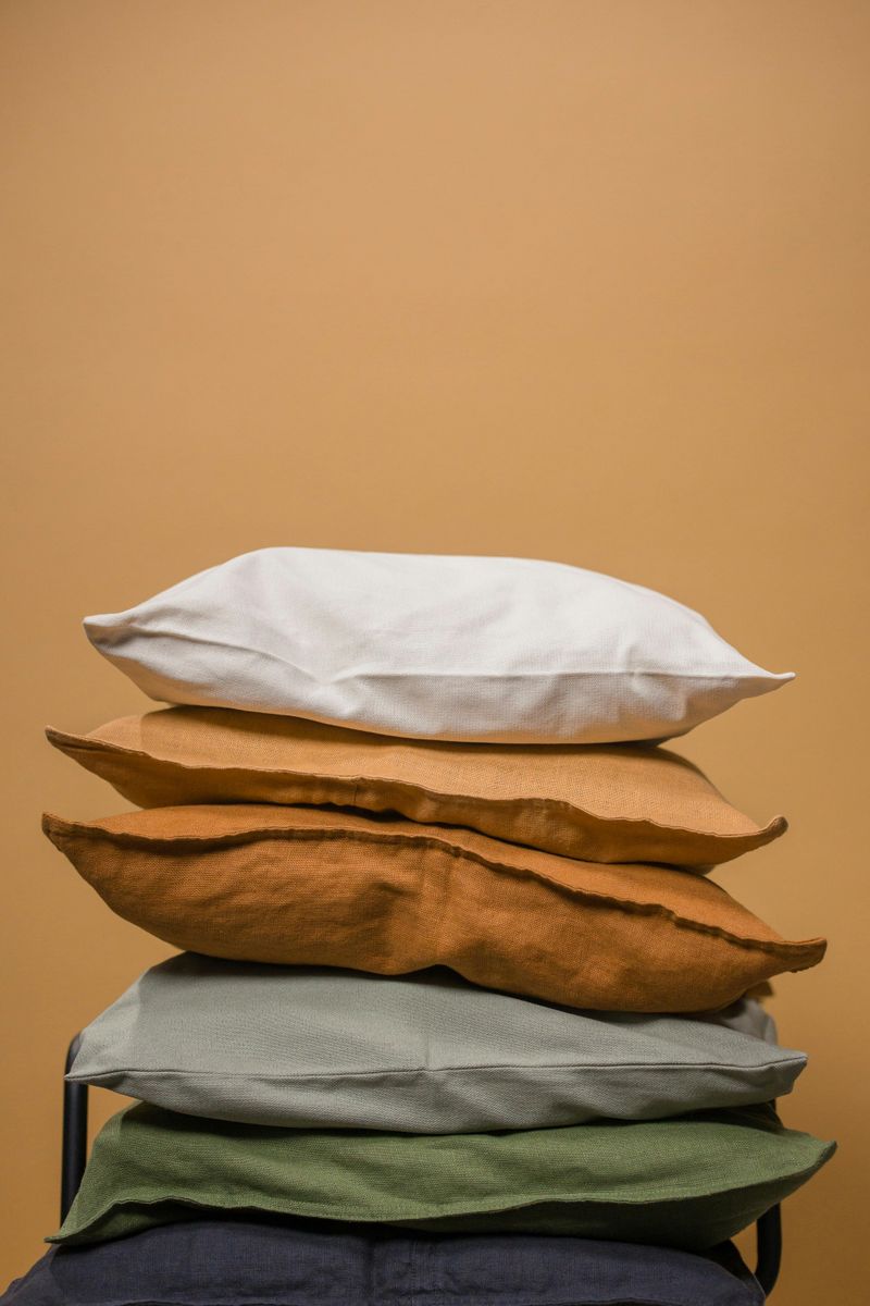 Elevate Pillows with Trim Details