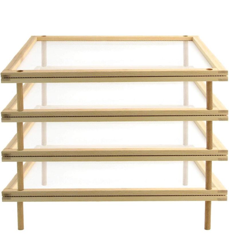 Eppicotispai Beechwood Stackable Food Dryer (4 Tier)