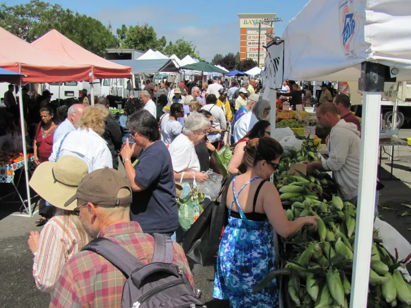 Farmers Markets: Direct From Farm To Table