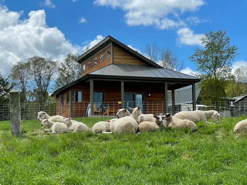 Fat Sheep Farm & Cabins: Vermont's Wooly Adventure