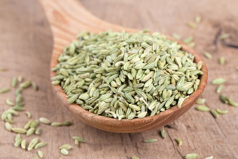 Fennel Seeds: Tiny Seeds with Mighty Relief