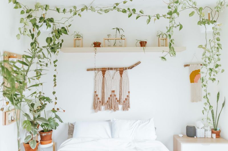 Floating Shelves